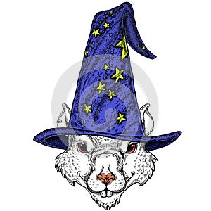 Fantasy portrait of wild rat or mouse wearing magic wizard hat. Cartoon witch. Fairy tale character. Symbol chinese