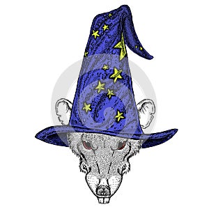 Fantasy portrait of wild rat or mouse wearing magic wizard hat. Cartoon witch. Fairy tale character. Symbol chinese