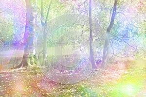 Fantasy Rainbow Woodland