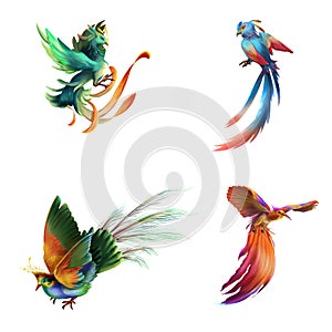 Fantasy and Realistic Bird. Animal Character Design. Concept Art.