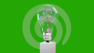 Fantasy tree turning inside of a lightbulb, green energy, seamless loop, Green Screen Chromakey