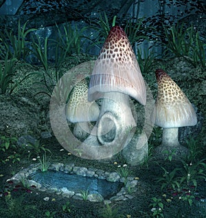 Fantasy underwood mushrooms by a pond photo
