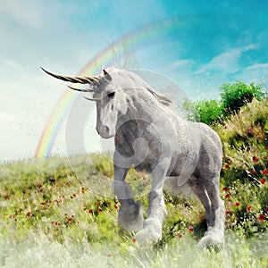 Fantasy while unicorn on a meadow with a rainbow