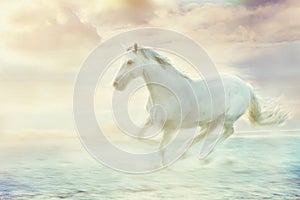 Fantasy white horse