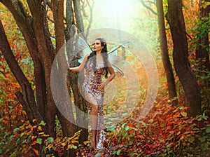 fantasy woman fairy, pixie wings creative costume. Girl angel forest goddess butterfly sexy elf. Magic light autumn