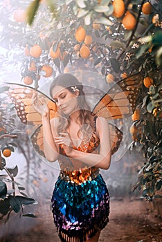 fantasy woman fairy walks in jungle. Pixie girl, carnival costume bright orange monarch butterfly wings. Blue shiny
