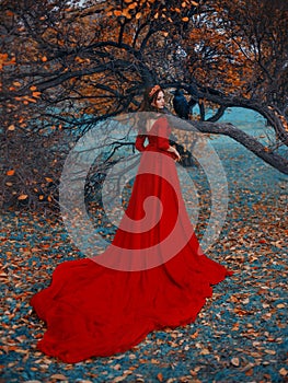 Fantasy woman queen in red dress with long train. Golden crown on head. Autumn nature tree black raven sits on branch