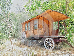 A fantasy wooden wagon in a forest