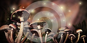 Fantasy world. Mushrooms with magic lights in enchanted forest, banner design