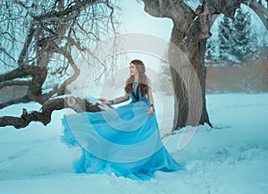 Fantasy young woman in image of medieval princess sits on a tree in luxurious blue vintage dress. Background Winter
