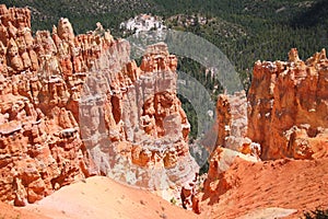 The far green pine tress behind the red rock hoodoos of the Bryce Canyon National Park photo