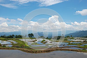 Far horizon - beautiful rice terraces, Asia