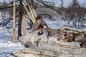 Far north of Yamal, tundra, pasture nord reindeers, closeup portrait of Nenets at age, close-up portrait of Nenets in national