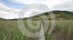 Far pavillion and wooden bridge through the reed natural reserve from Sic.