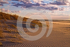 Far rockaway beach, sanddunes on beach, empty beach during sundown, beautiful beach in nature