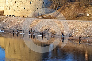 Far view of fishermen on the river bank along the ancient fortress wall and tower on spring day