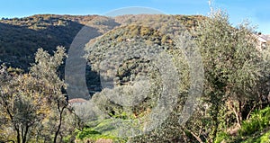 Far Western Ligurian hills. Color image