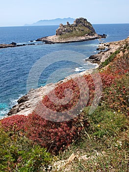 Faraglione, Isle of Levanzo, Sicily, Italy