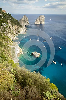 Faraglioni rocks on Capri Island in Italy