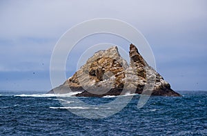 Farallon Island Rock with Birds photo