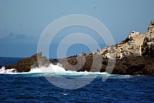 Farallon Islands California photo