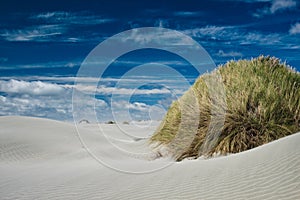 Farewell Spit sand dune photo