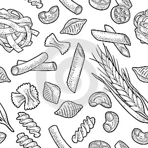 Farfalle, conchiglie, maccheroni, fusilli, penne, pipe. Vector vintage engraving illustration isolated