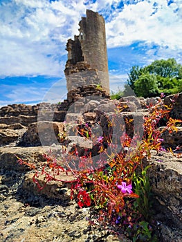 Farleigh Hungerford Castle ruined tower