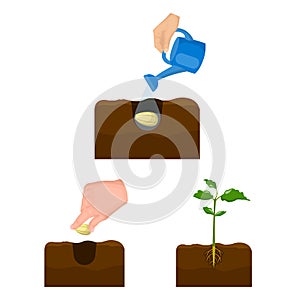 Farm and agriculture cartoon icons in set collection for design. Garden and plants isometric vector symbol stock web