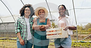 Farm, agriculture or face of women with basket of vegetables, harvest or fresh produce. Farming sustainability