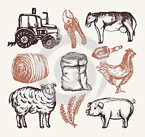 Farm and Agriculture - hand drawn vintage illustrations set