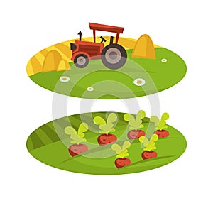 Farm agriculture harvest field and tractor with wheat hay vector flat cartoon farmland