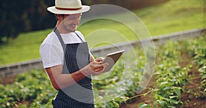 Farm, agriculture and man with a tablet, sustainability and update progress for harvest, produce and growth. Male person