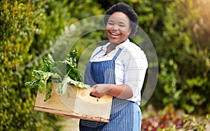 Farm, agriculture and portrait of black woman with basket of vegetables, harvest and fresh produce. Farming