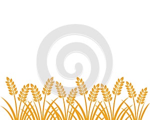 farm agriculture wheat crop vector background illustration design