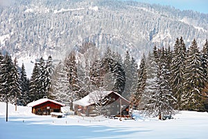 Rustic farm at fir forest in alpine landscape snow-covered