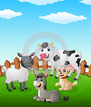 Farm animal cartoon on the field