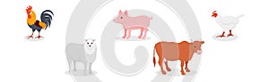 Farm Animal with Cow, Sheep and Poultry Vector Set