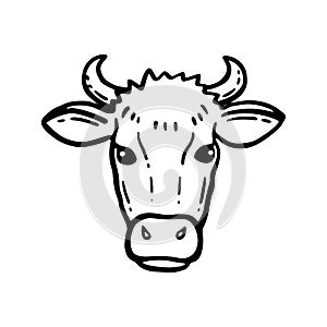 Farm animal. Cow sketch. Hand drawn. Vintage style. Black and white vector illustration isolated on white background. Cow head.