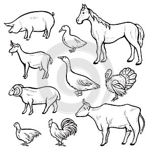Farm animal drawing set, domestic and agriculture symbol