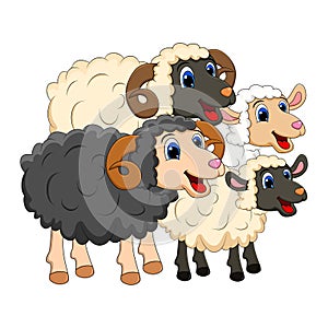 Farm animal group family. white  Sheep, lamb,  black ram   design isolated on white background. Cute cartoon animals collection