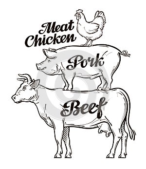 Farm, animal husbandry, cattle breeding, livestock farming. Beef, pork and chicken meat. Cow, pig, rooster vector