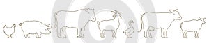 Farm Animal line set. Husbandry production. Cow and bull, duck and chicken. Sheep goat and pig. Outline contour line vector