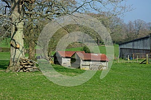 Farm animal shelter on a smallholding in countryside