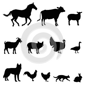 Farm animal vector illustration set