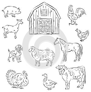 Farm animals