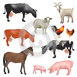 Farm animals