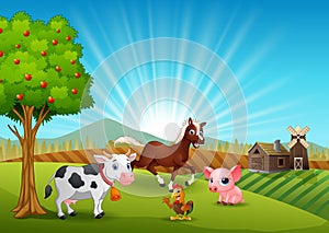 Farm animals activity in the morning
