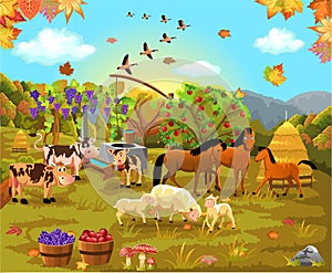 Farm animals in the autumn field