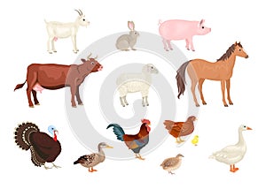 Farm animals and birds set isolated on white background. Vector illustration